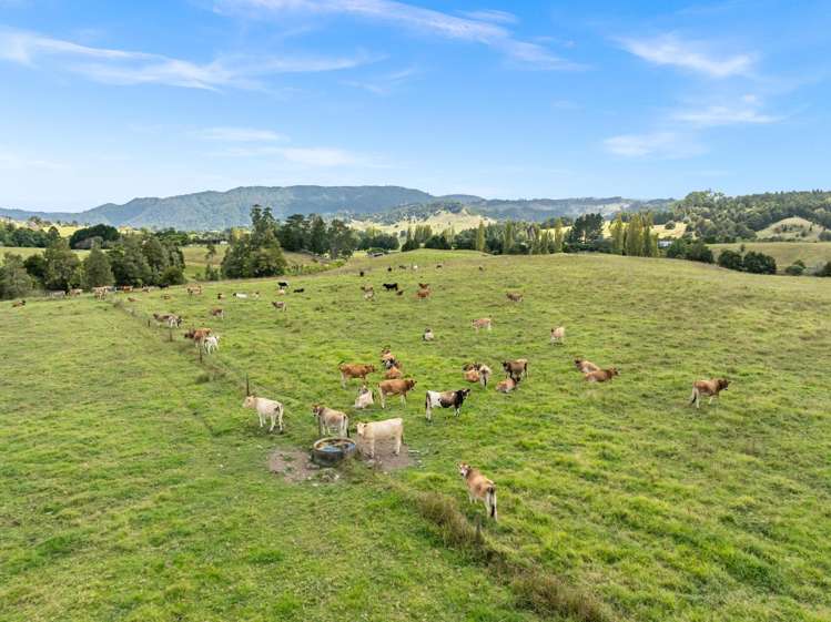 47B Mihi Road Okaihau_9