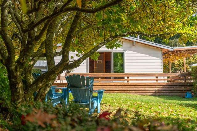 175 Forest Road Oruanui_2