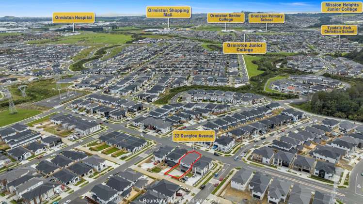 22 Dungloe Avenue Flat Bush_27