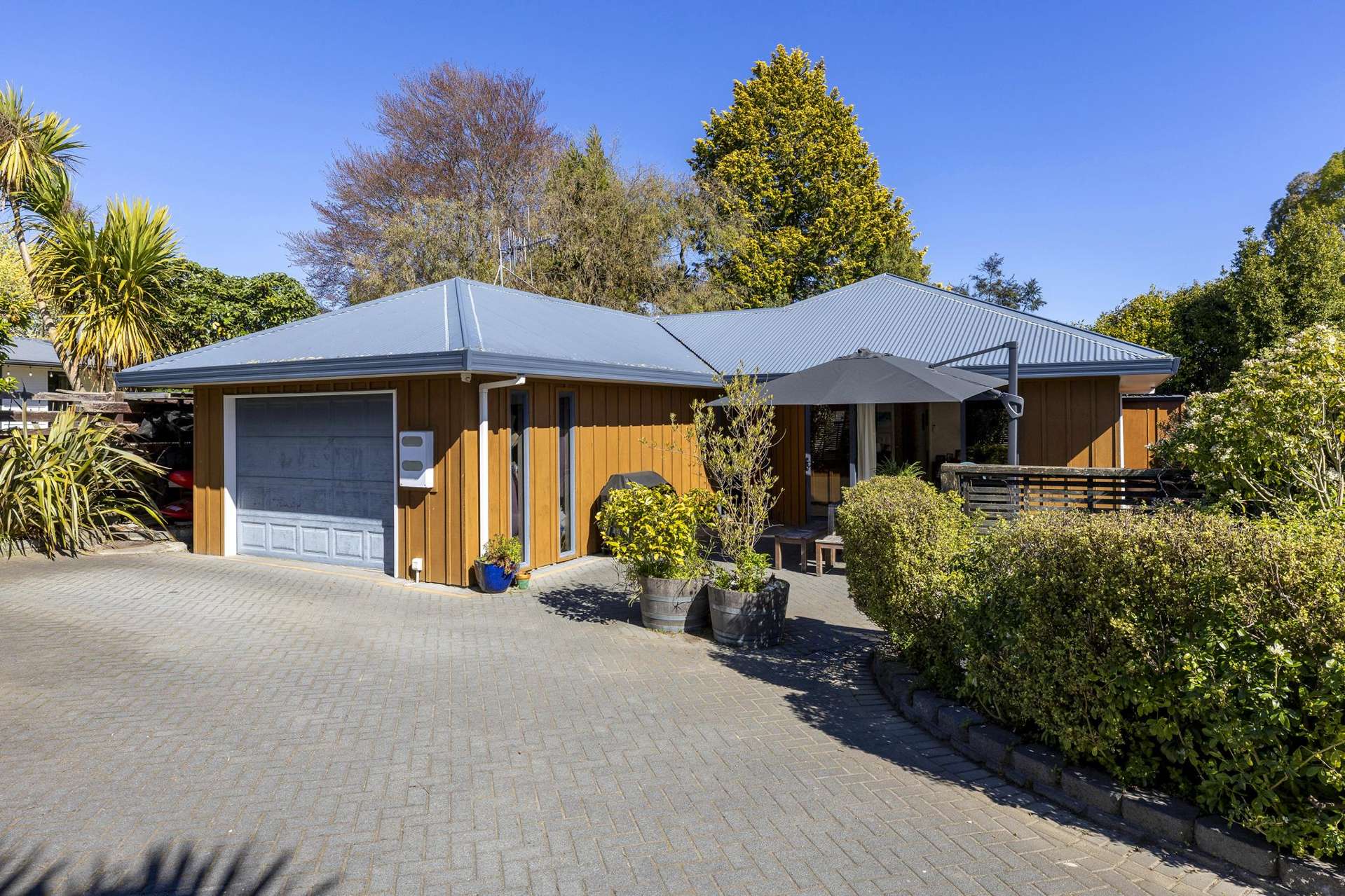 2/43 Kiwi Street Bird Area_0