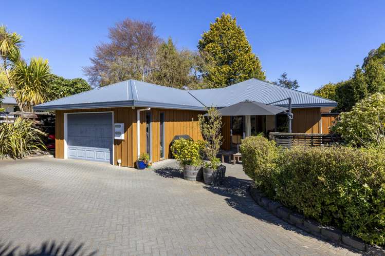 2/43 Kiwi Street Bird Area_0