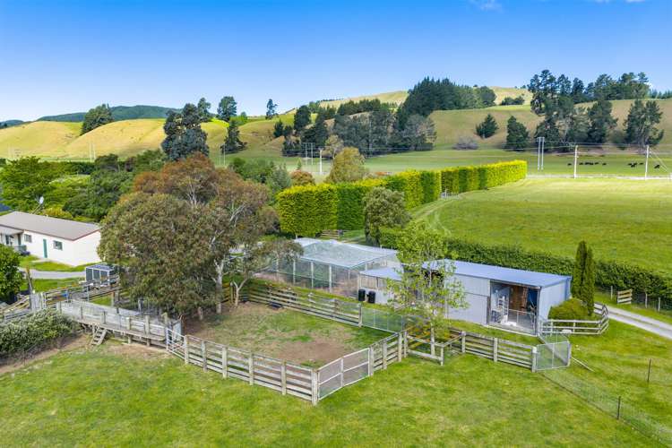 1944 State Highway 63 Wairau Valley_49