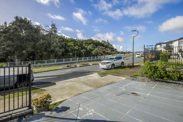 46 Tannaghmore Drive Flat Bush_2