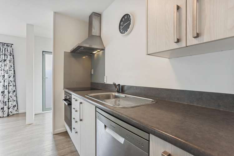 2 Antrim Street Sydenham_7