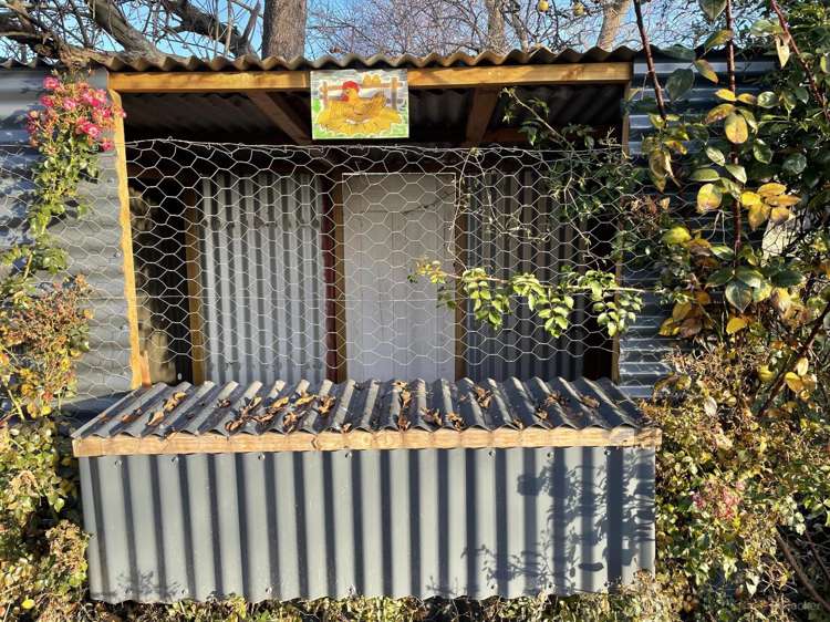 119 Temuka-Orari Highway Winchester_7