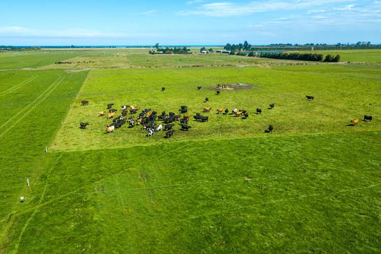 361 Poplar Road Ashburton_24