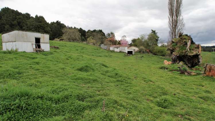 107 Dahya Lala Drive Kakahi_19