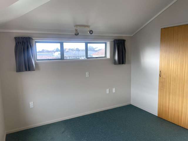 79 Rangiora Avenue Roslyn_4