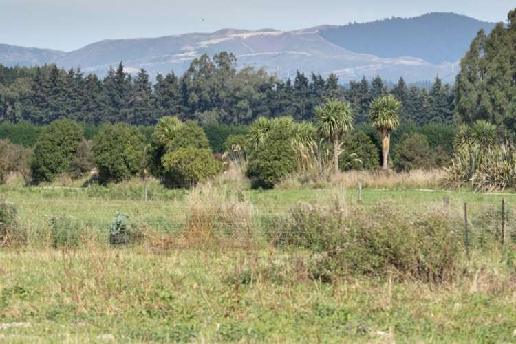 793 Peel Forest Road Mesopotamia_27