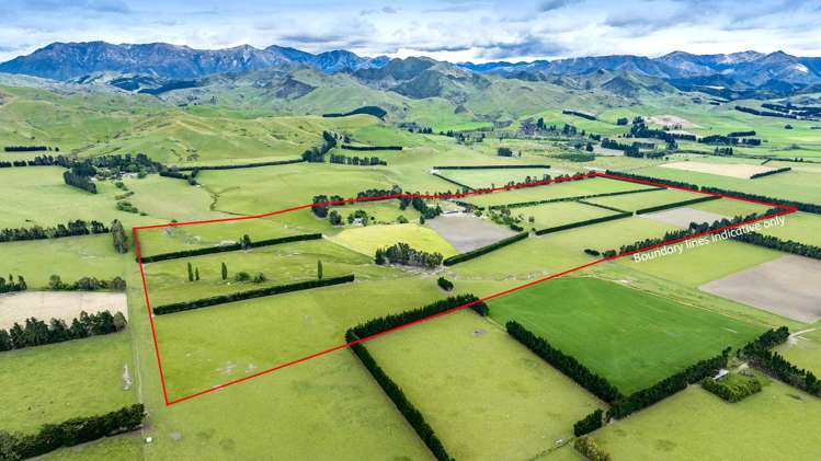 797 Lake Sumner Road Masons Flat_32