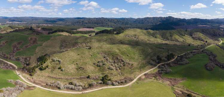 283 Minginui Road Galatea_34
