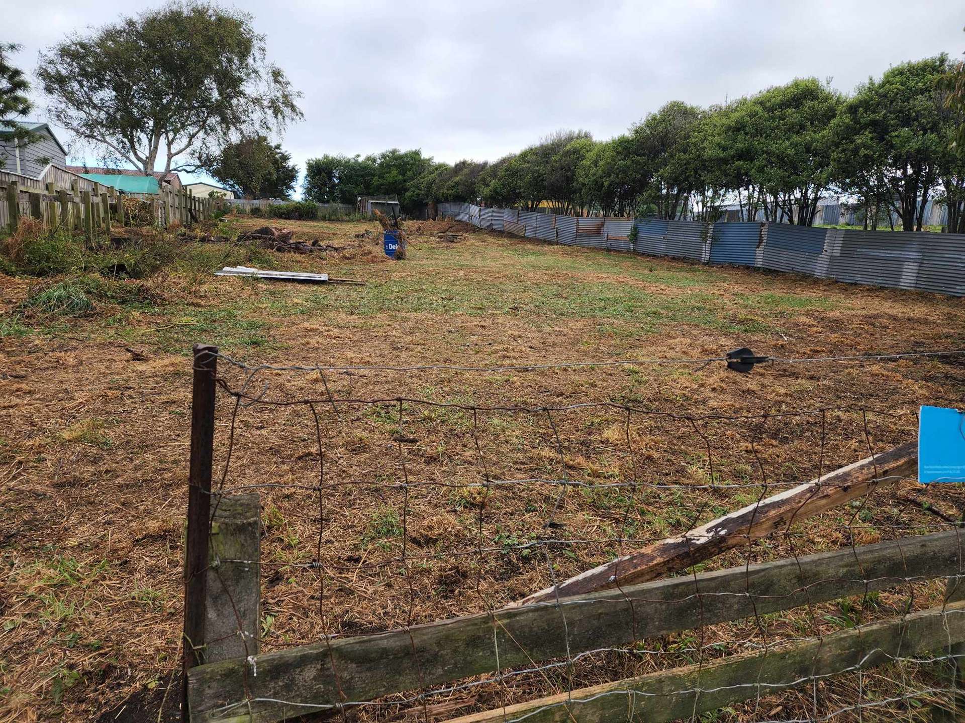 34 Brassey Street Waverley_0