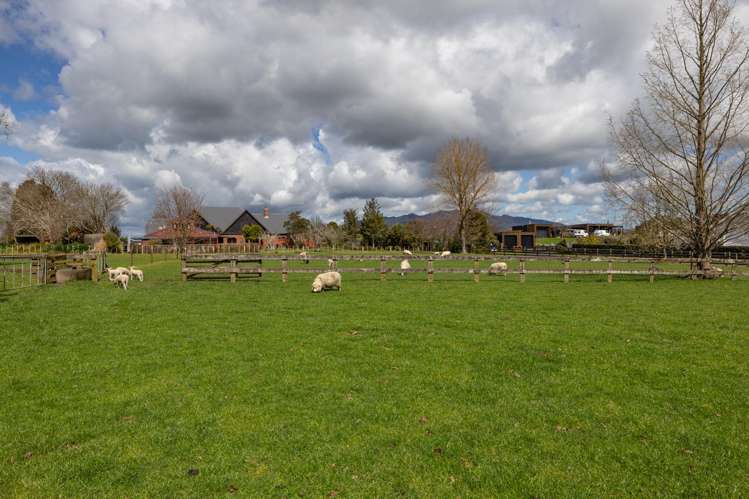 1829E Tirau Road Karapiro_31