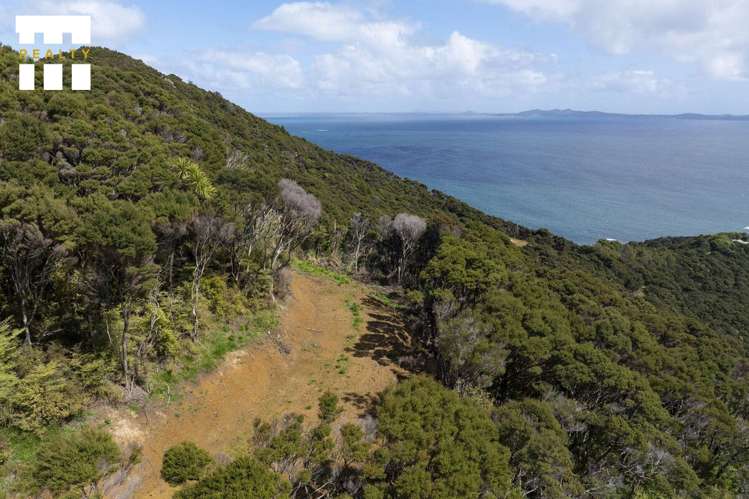 Lot 4/303 Waiaua Road Hihi_17