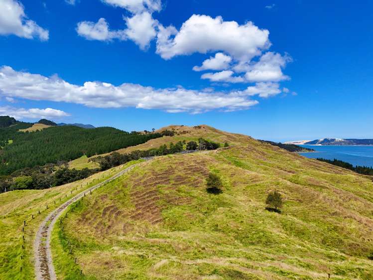 Brindle Road Opononi_14