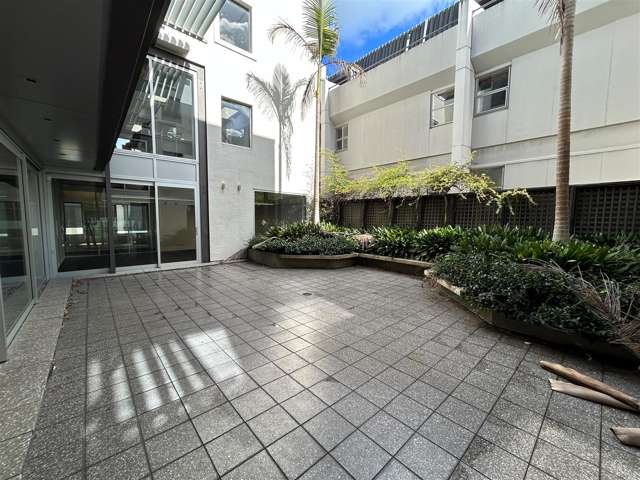 7 Falcon Street Parnell_3