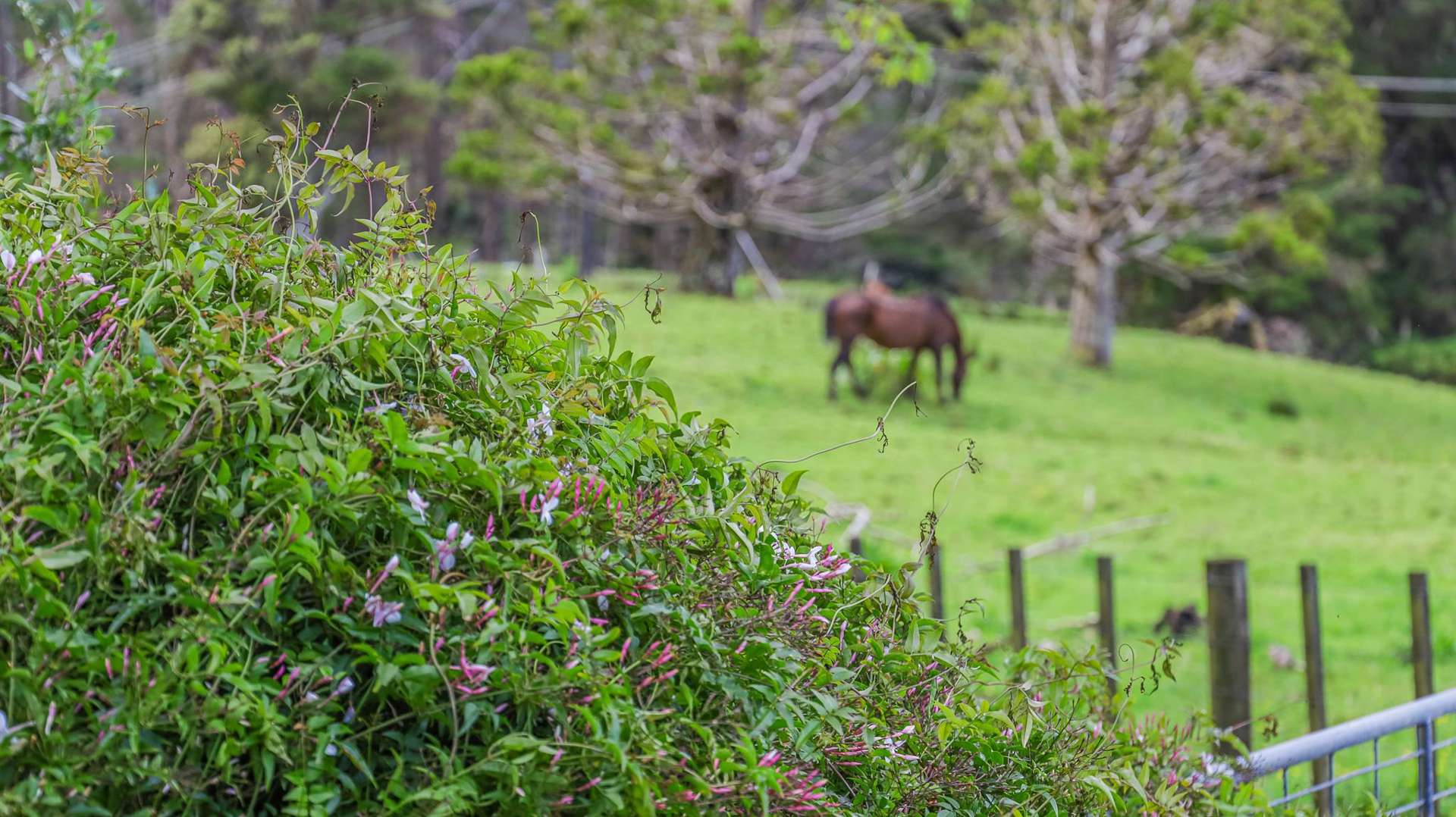 Lot 3/10 Kraack Road Warkworth_0