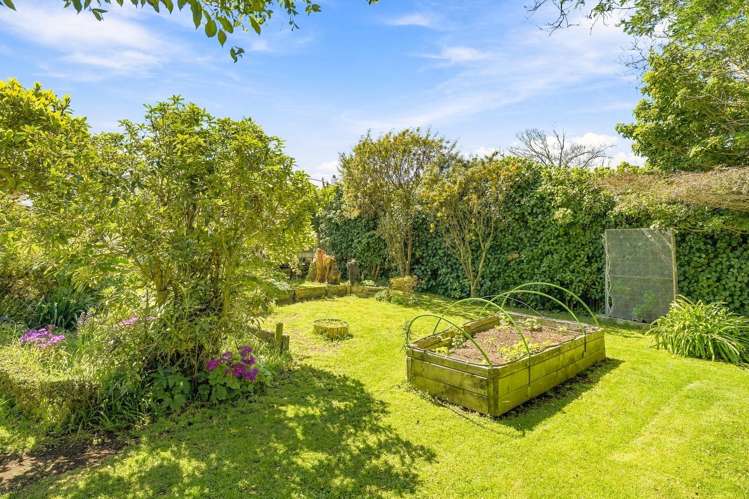 3 Brassey Street Waverley_25