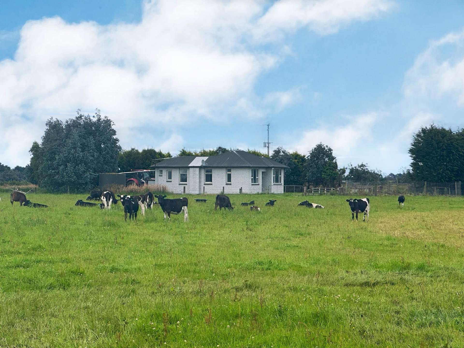 56 Greig Road West Plains_0