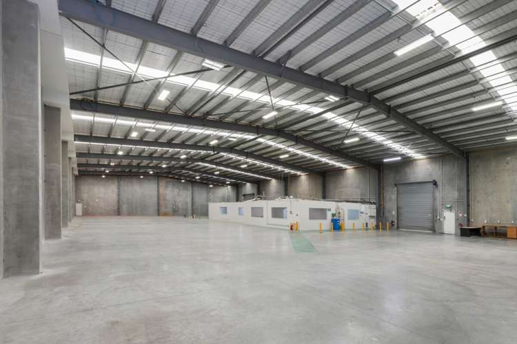 31 Canada Crescent Hornby_6