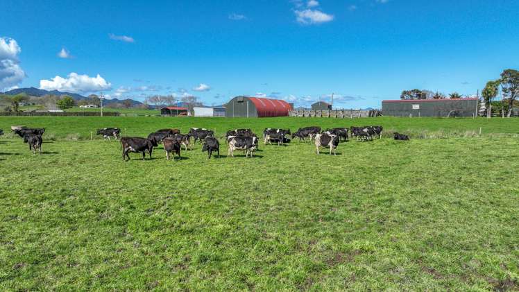 81 Station Road Puriri_15