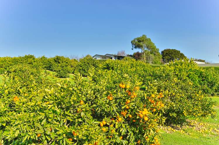 49 Baldwin Road Tasman_10