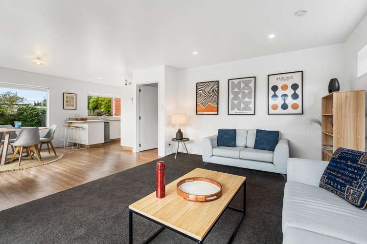 12 McLeish Lane Spreydon_13