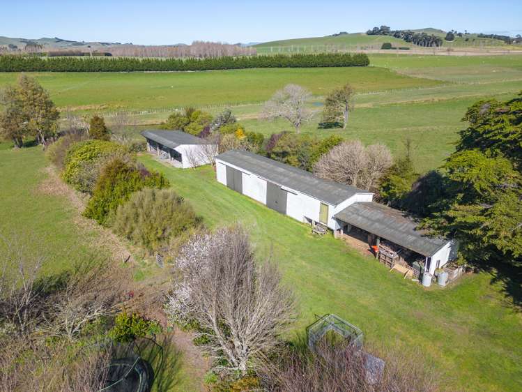 138 Donovans Road Kopuaranga_26