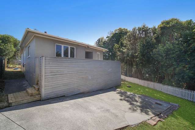 101 Seabrook Avenue New Lynn_3