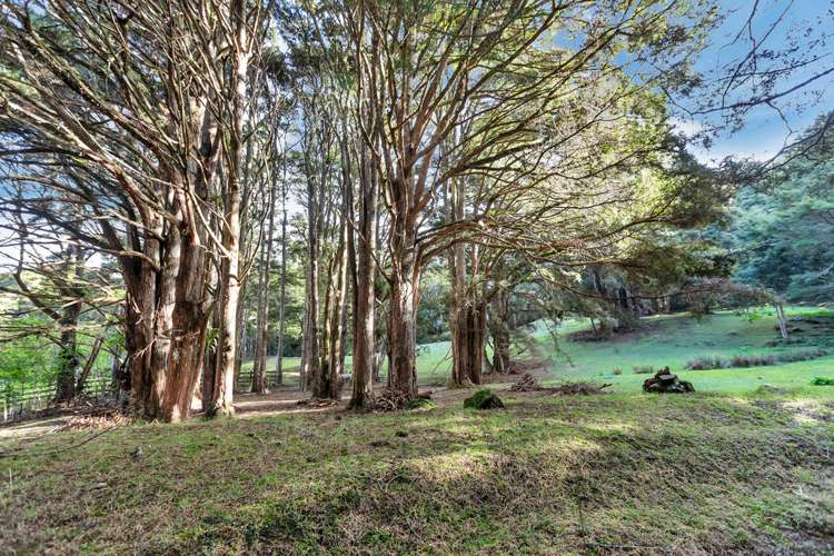 181 Great North Road Kamo_17