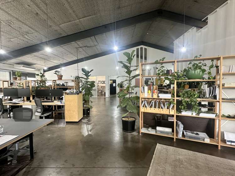 21 Scanlan Street Grey Lynn_1