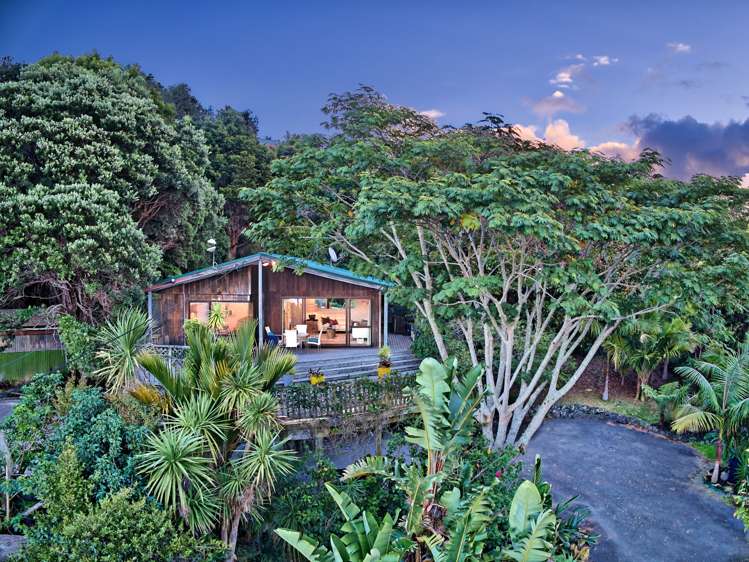 45 Cornwallis Road Cornwallis_19