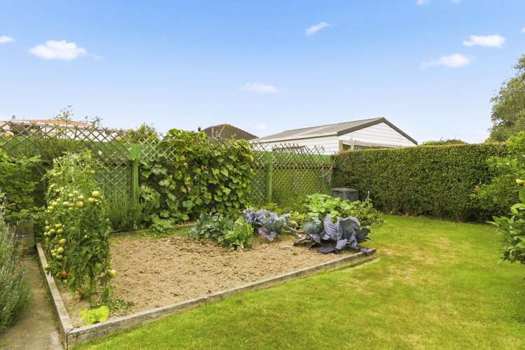 9 Chester Street Levin_28