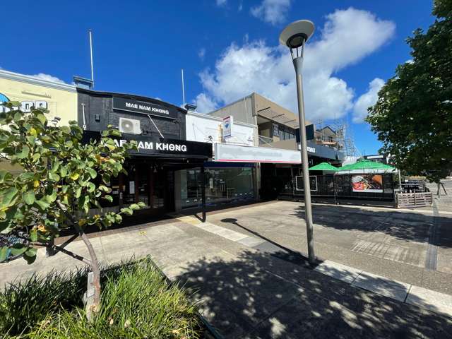 6 Todd Plaza New Lynn_2