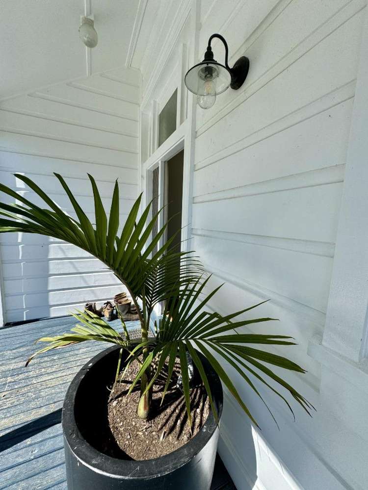 26 Puketahi Street 10446_18