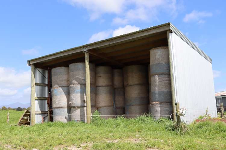 828 Hursthouse Road Inglewood_12