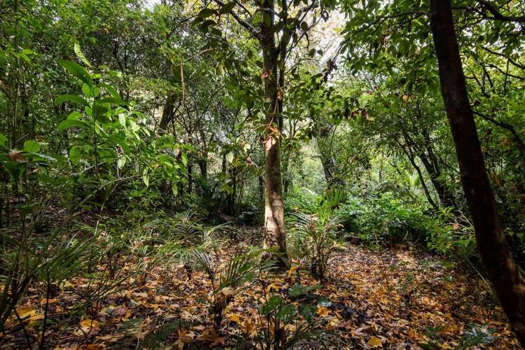 9 Belfast Street Hillsborough_6