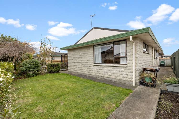 3/64 Albert Street Palmerston North Central_22