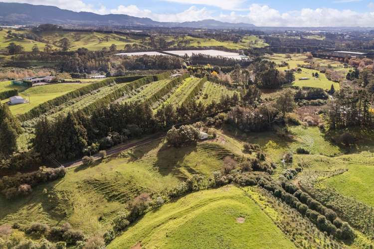 137 Lund Road Katikati_30