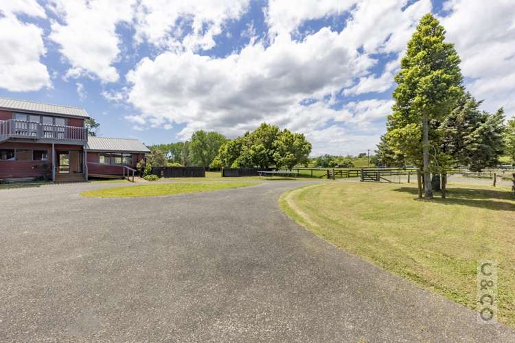 522 State Highway 16 Kumeu_63