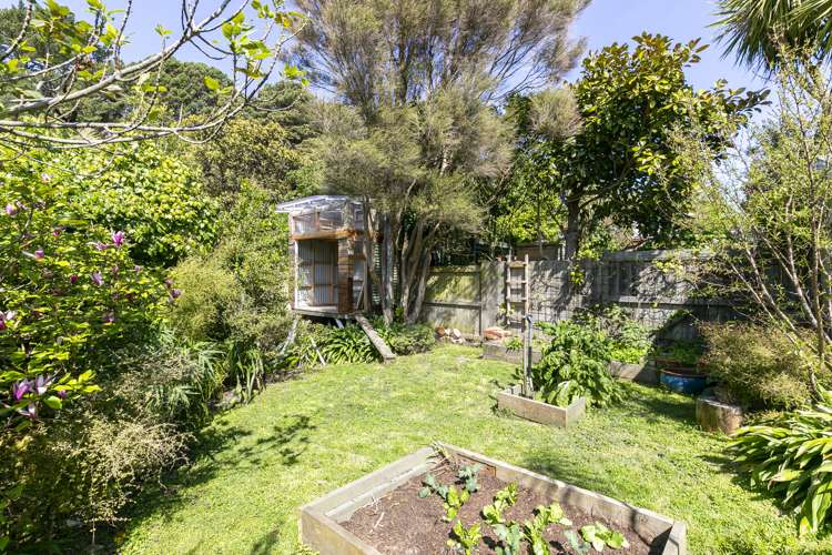 31 Edinburgh Terrace Berhampore_17