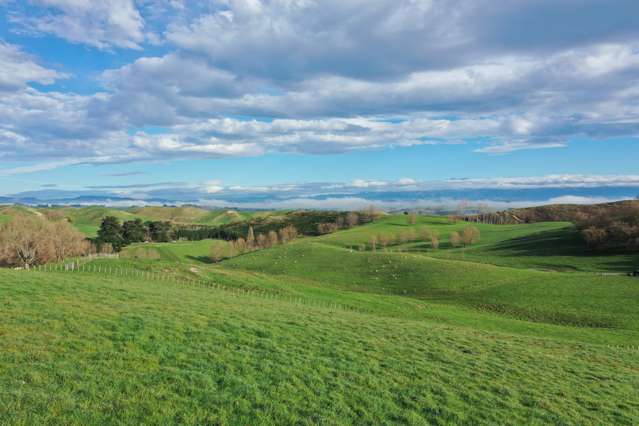 223 and 224 Peacock Road Waipukurau_4