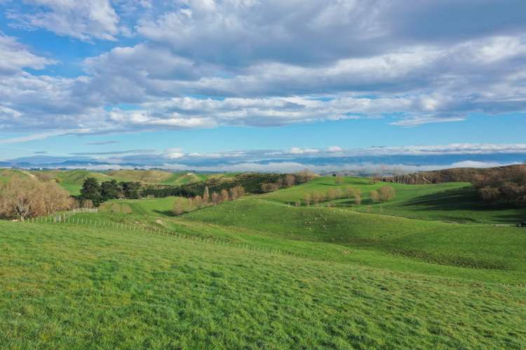 223 and 224 Peacock Road Waipukurau_4