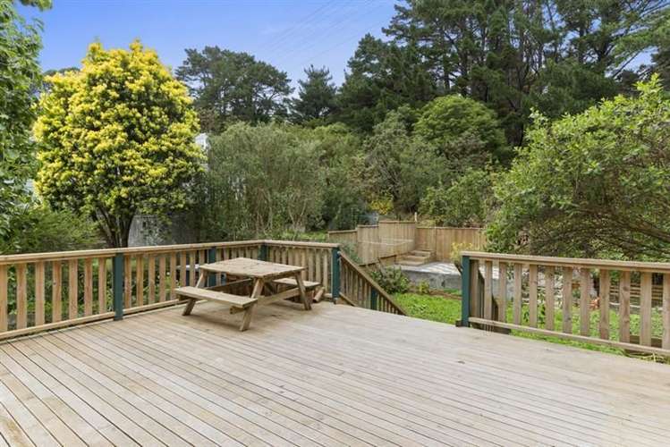 1 Mortimer Terrace Aro Valley_17