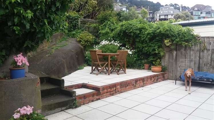 6 Baring Street Oriental Bay_13
