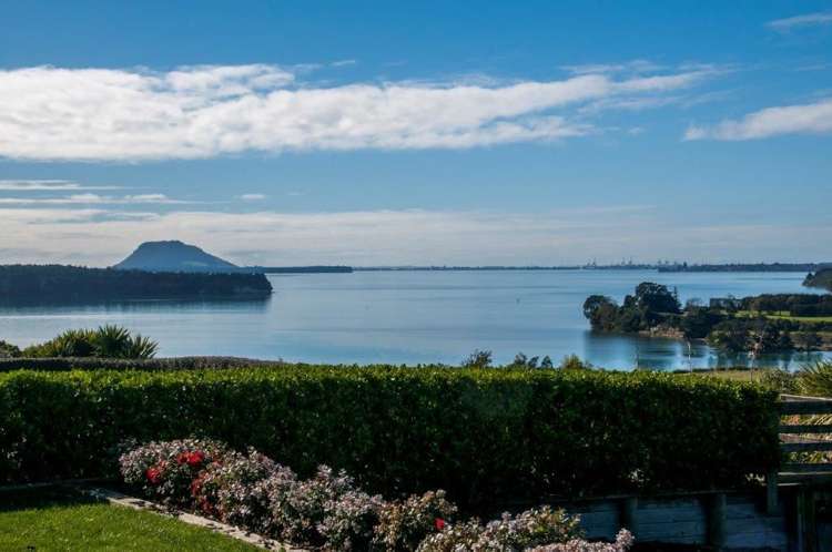 18 Holyoake Terrace Omokoroa_6