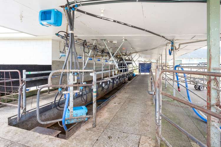 2044 Old Te Aroha Road Gordon_10