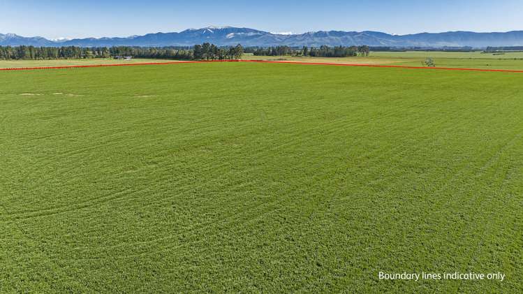 784 Wrights Road Oxford_3