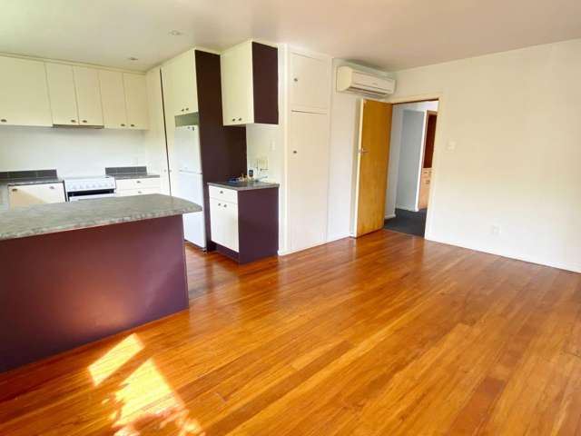 7 Reading St Upper Riccarton_2