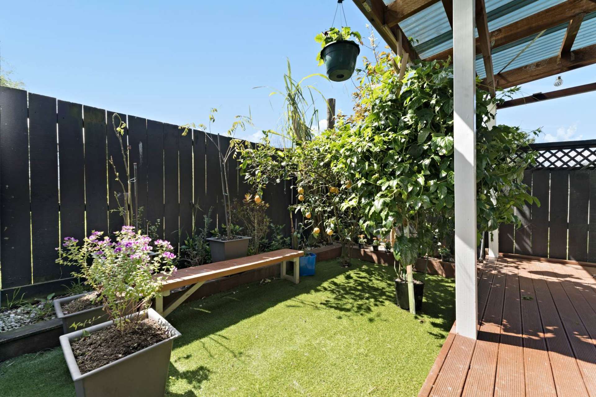 10/36 West Coast Road Glen Eden_0